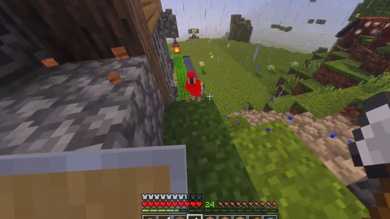 parrot tame minecraft