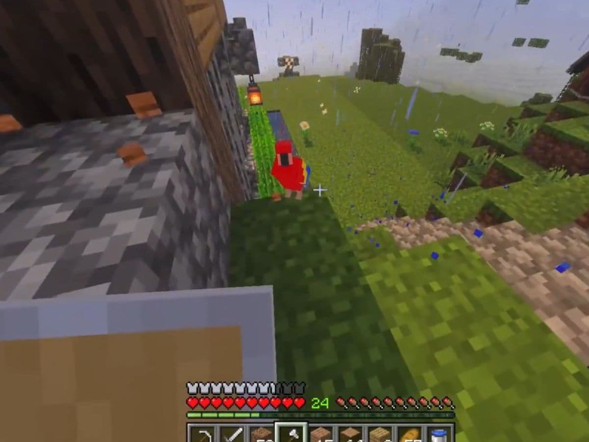 parrot tame minecraft