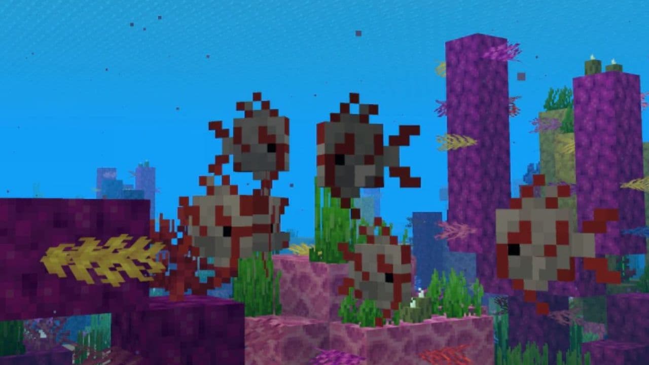 tropical fish