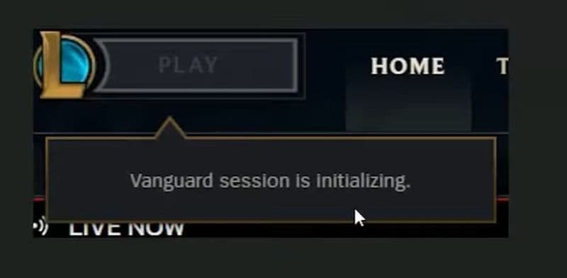 Here is what the “Vanguard session is initializing” error looks like (Image Credit: Global Success Narratives on YouTube)