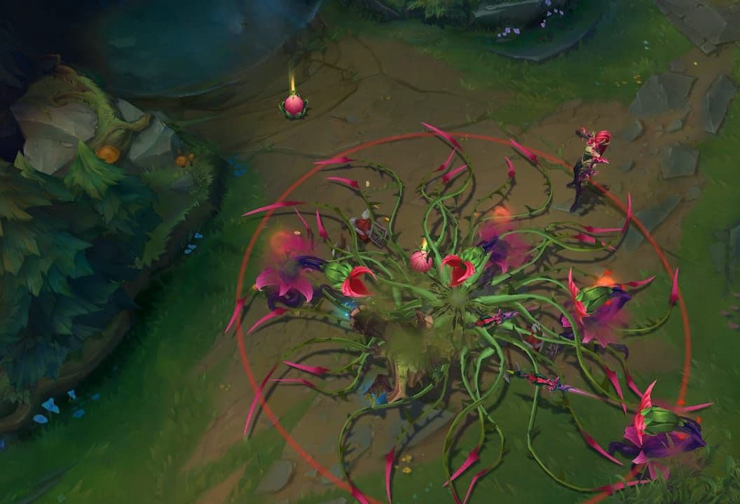 Zyra R