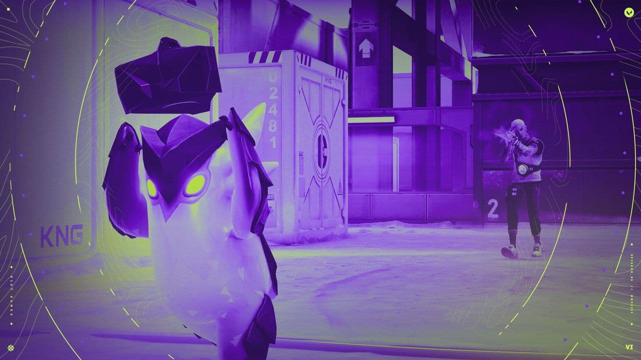 How to hide level in Valorant