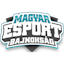 Magyar Esport Kupa - #3 Bajnokság 2021