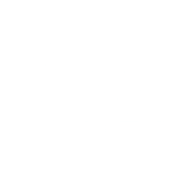 C2C - Division 1