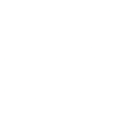 The Lil Bro Cup