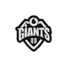Giants 4 Everyone Valorant - #1