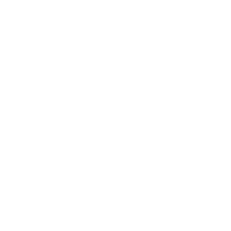 LPL 2020 Spring Cup - Evolution