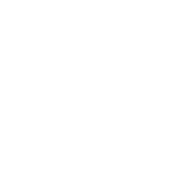 Underdogs - January 2021