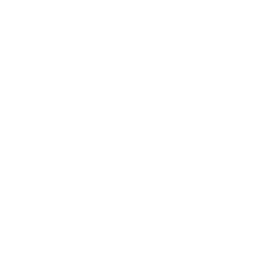 Cyber Wolves Academy