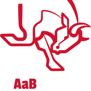 AaB Esport Denmark