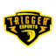 Trigger Esports
