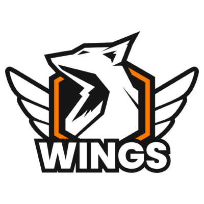 Sector One Wings Program