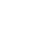 Cyber Wolves Esports