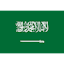 Saudi Arabia FE