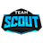 Team Scout