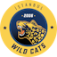 İstanbul Wildcats