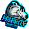 Polarity Esports