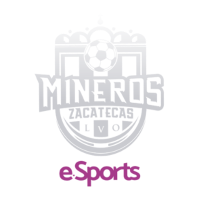 Mineros FC Esports