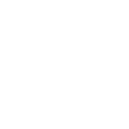 FlyQuest Trailblazer Tournament - November