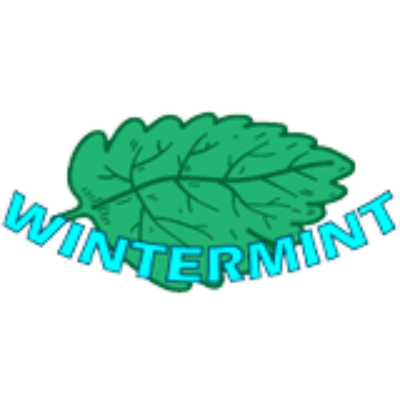 Wintermint