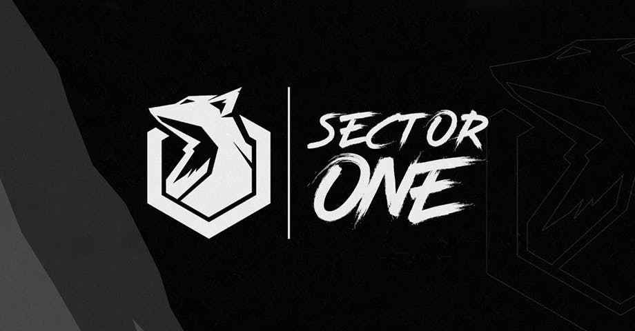 Sector One halts esports operations including VALORANT