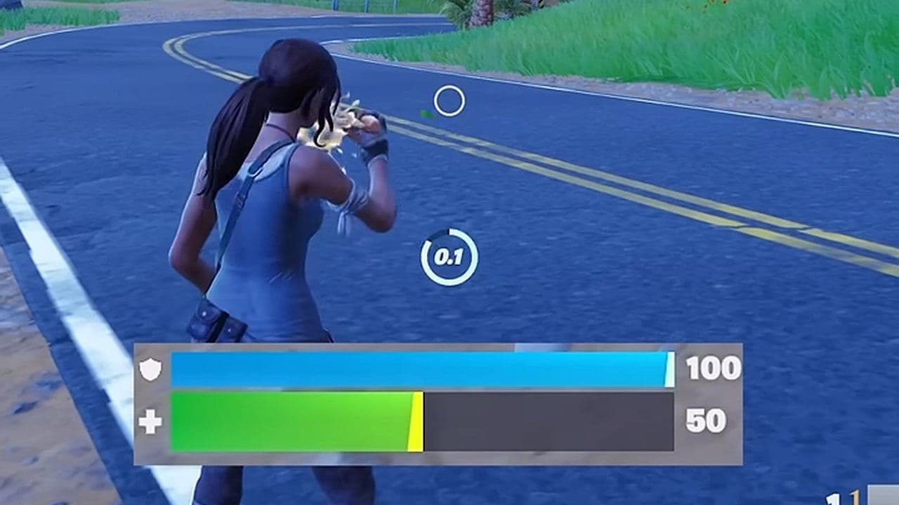 Credit: AussieAntics/Youtube