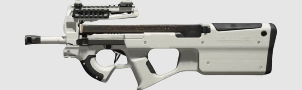 PDSW 528 (Image Credit: Warzone Meta)