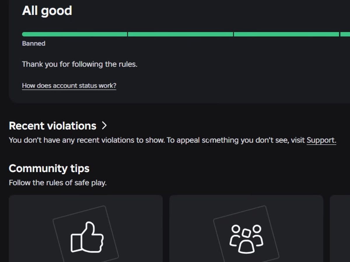Roblox Safety Dashboard (3).jpg