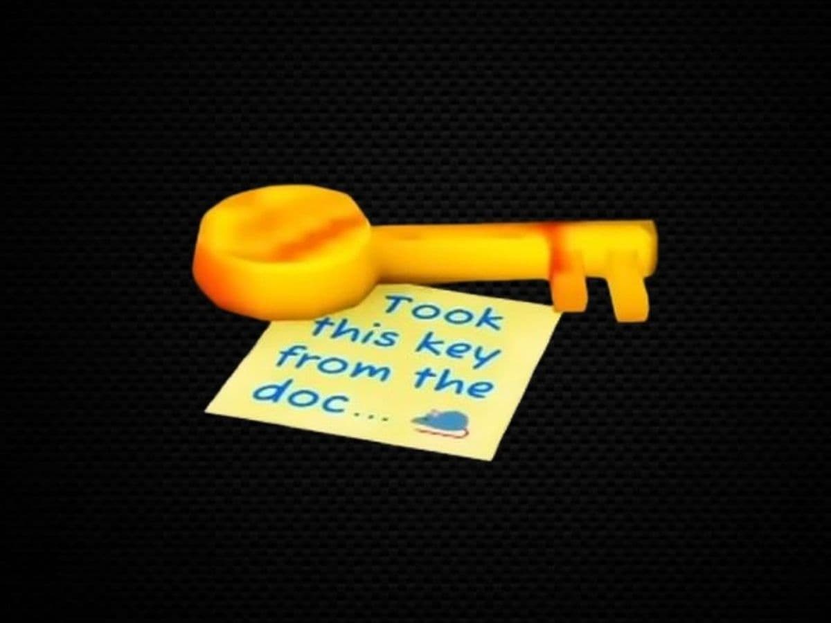 What is the key for in Roblox Animal Hospital (