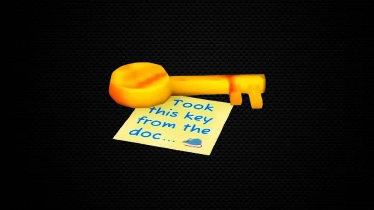 What is the key for in Roblox Animal Hospital