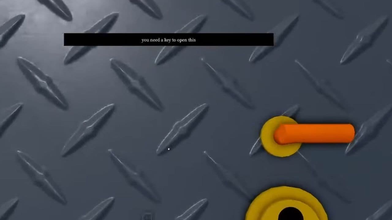 What is the key for in Roblox Animal Hospital
