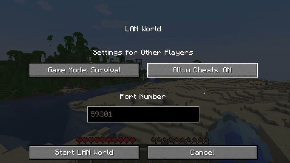 In Java Edition, make sure to turn on cheats before typing the code (Image Credit: GuideRealm on YouTube)
