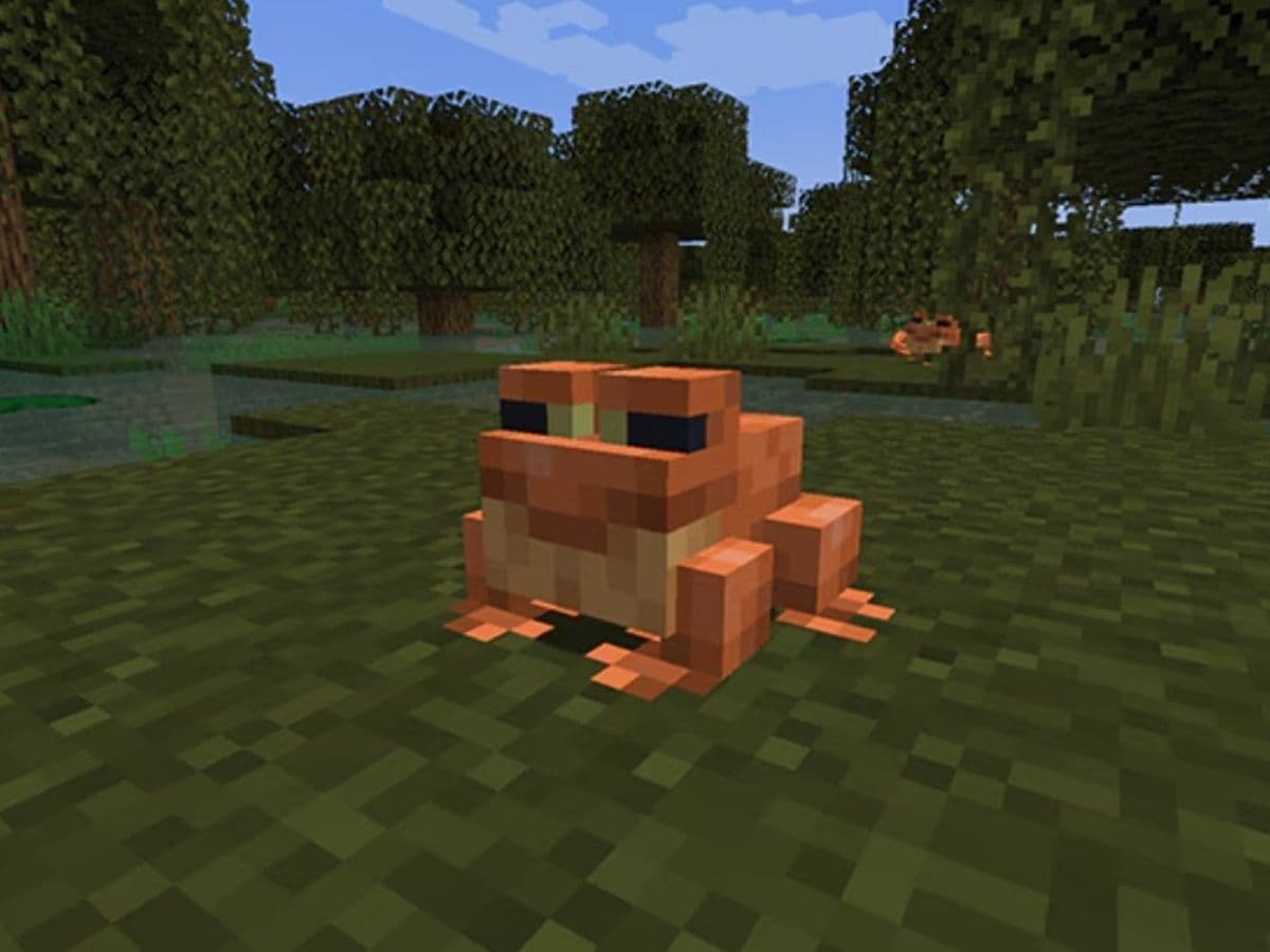 breed frogs mc