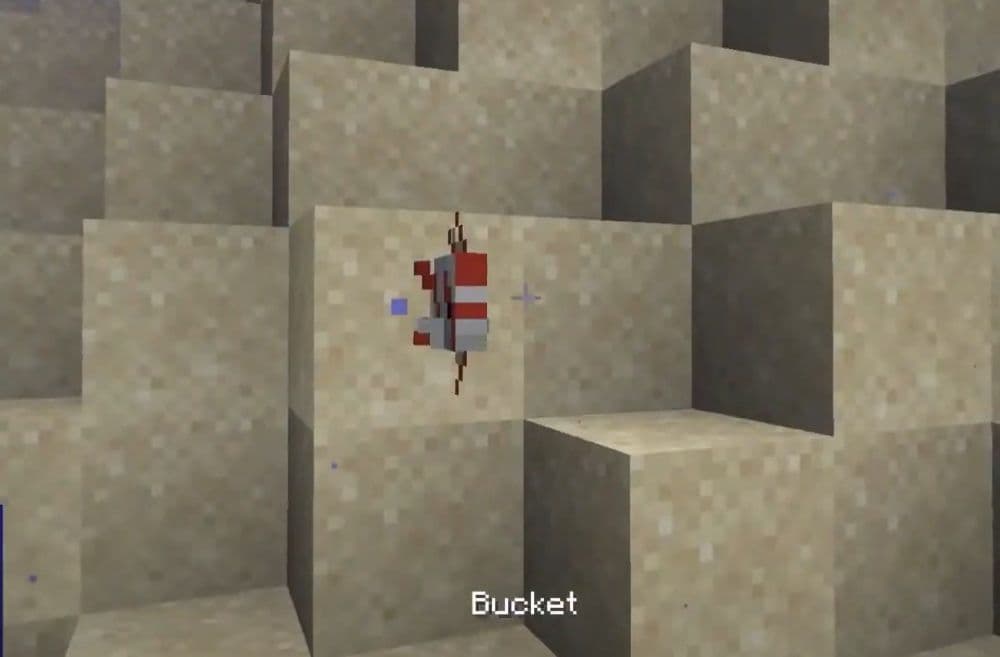 Get a bucket and use it on the fish (Image Credit: RajCraft on YouTube)
