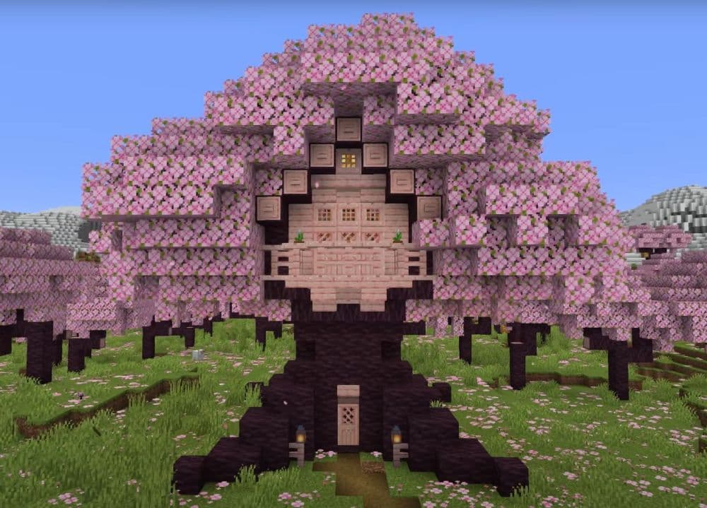 Image Credit: Cortezerino on YouTube