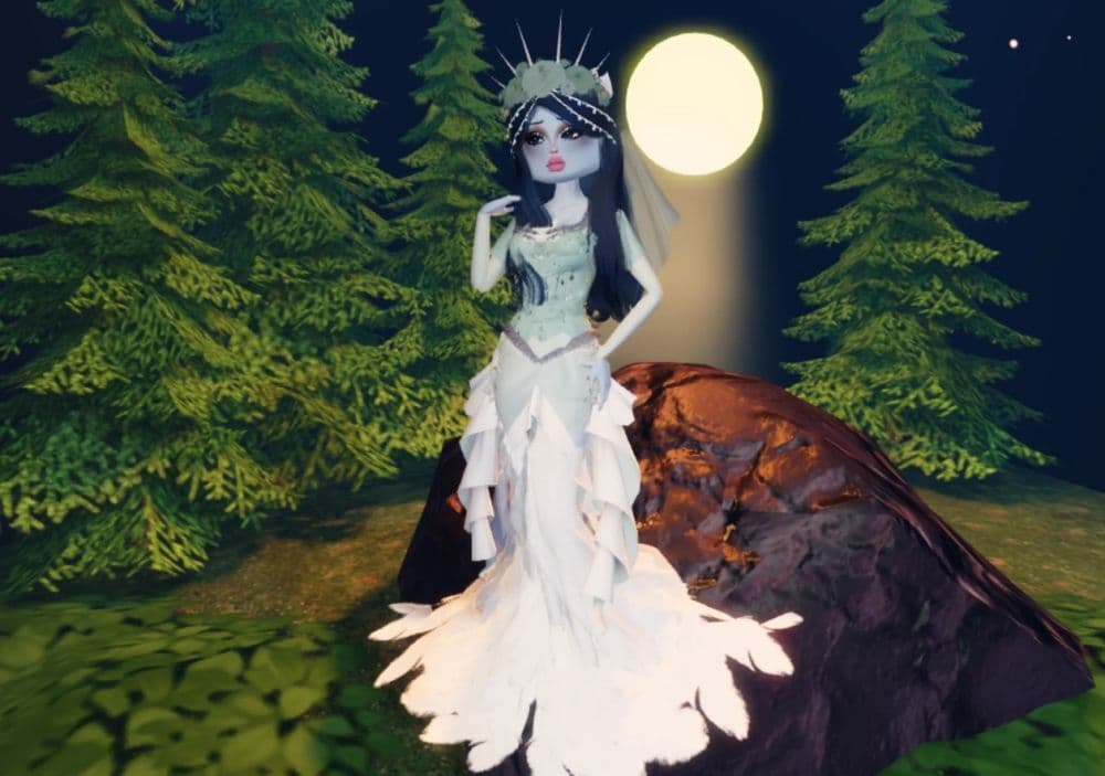 Image Credit: u/Left-Mess9026 on r/DTI