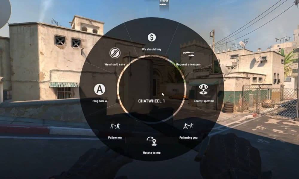 IGLs are the brain of a team; they decide the round tactics, before and during the round when needed (Image Credit: DailyTutorials on YouTube)