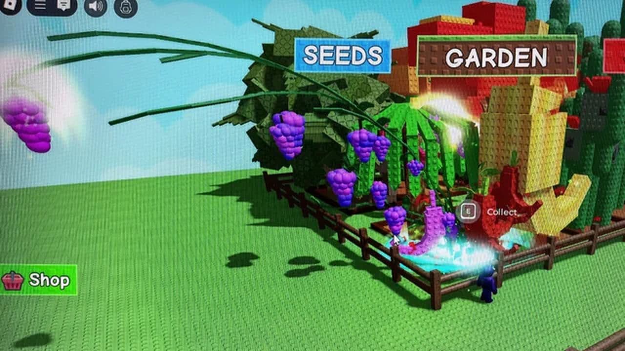 Credit: r/growagarden