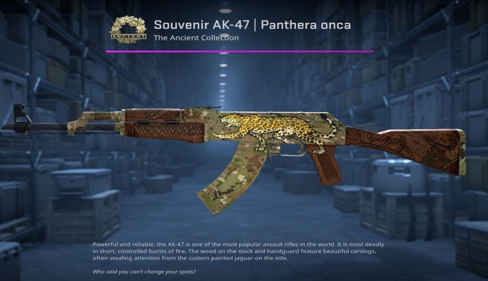 panthera onca