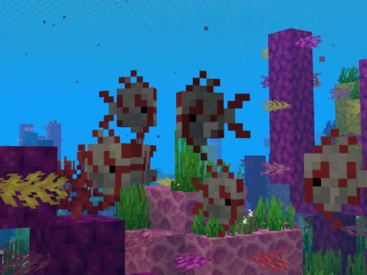tropical fish