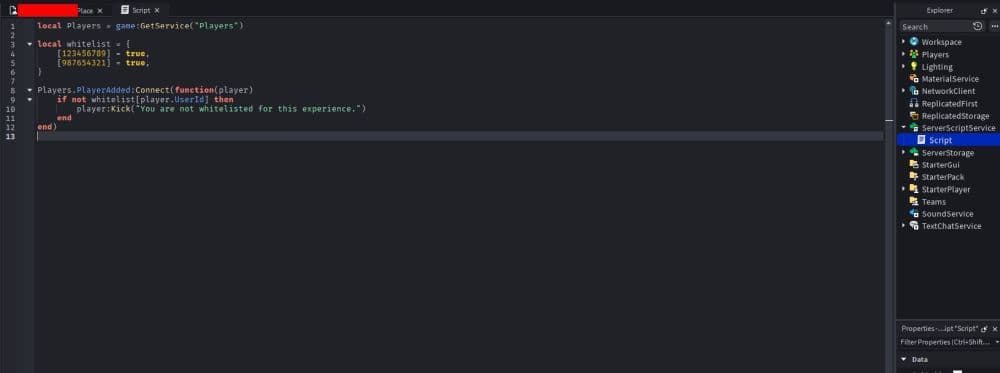 Add the Script you see below into the area (Image Credit: THESPIKEGG)