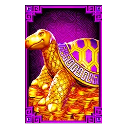 Icon 5