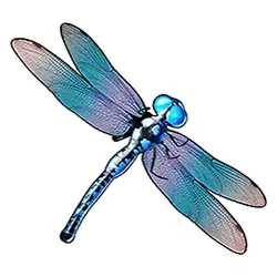 Icon 3