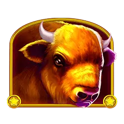 Icon 2