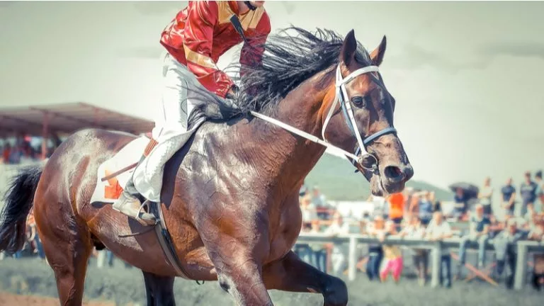 Horse Racing Apps