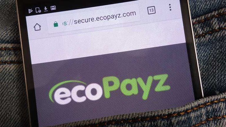 EcoPayz: Pros and Cons