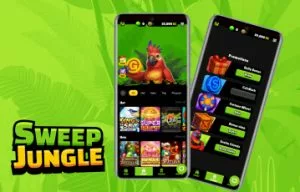 Sites like SweepJungle